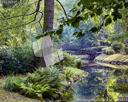 Image of Japanese bridge in park