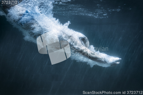 Image of diving