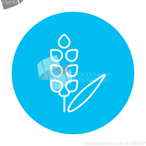 Image of Wheat line icon.