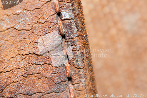 Image of Close-up of old stiches in leather