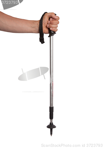 Image of Hand and ski pole isolated