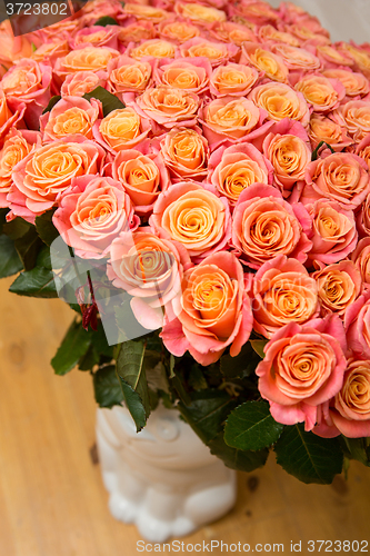 Image of beautiful orange rose