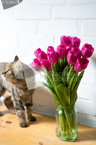 Image of beautiful pink tulips in a vase