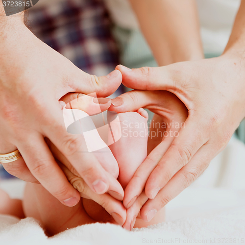 Image of Childrens feet in hands of mother and father.