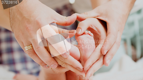 Image of Children&amp;#39;s feet in hands of mother and father.