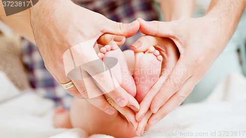Image of Childrens feet in hands of mother and father.