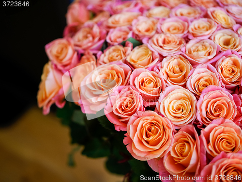 Image of beautiful orange rose