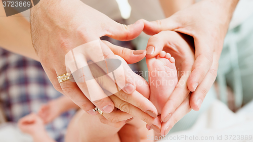 Image of Children&amp;#39;s feet in hands of mother and father.