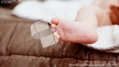 Image of Foot of newborn baby.