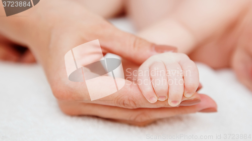 Image of sleeping baby in hand of parent 