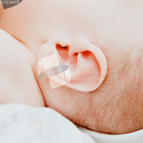 Image of Small delicate little ear of newborn