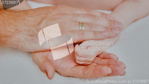 Image of sleeping baby in hand of parent 