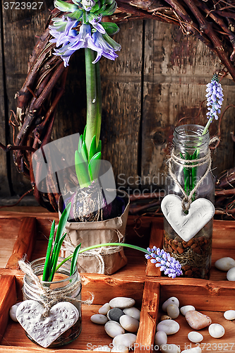 Image of Spring blooming sprouts