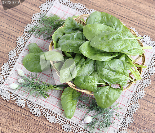 Image of Fresh spinach leaves
