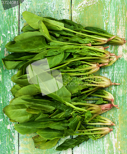 Image of Raw Spinach Leafs