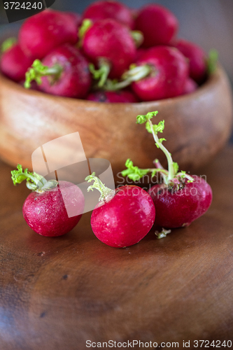 Image of harvest of ripe radish.