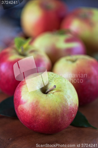 Image of harvest of apples