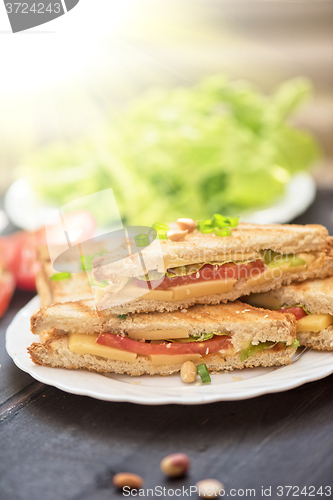 Image of Cheese sandwich photo