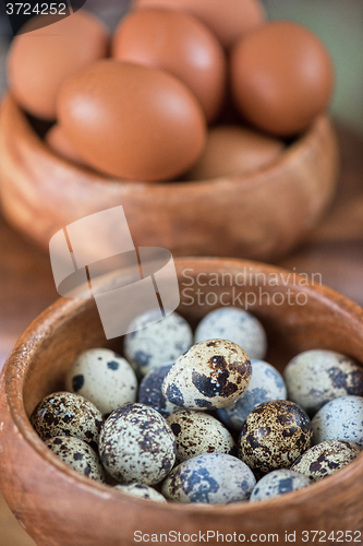 Image of Fresh eggs photo