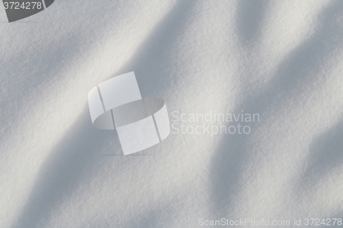 Image of White beautiful snow