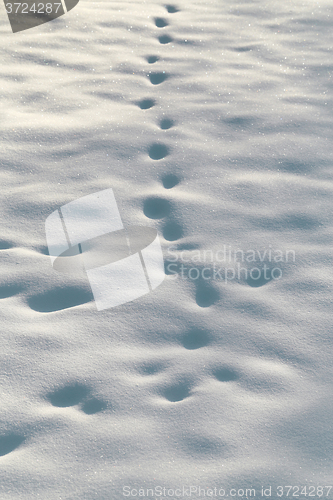 Image of White beautiful snow