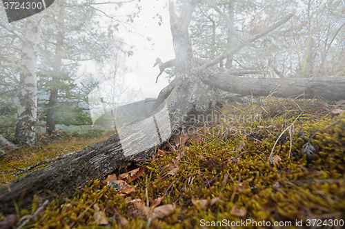 Image of on the mountain in autumn day