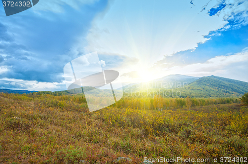 Image of taiga and mountains