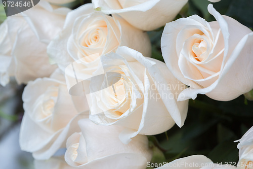 Image of white roses as a floral background