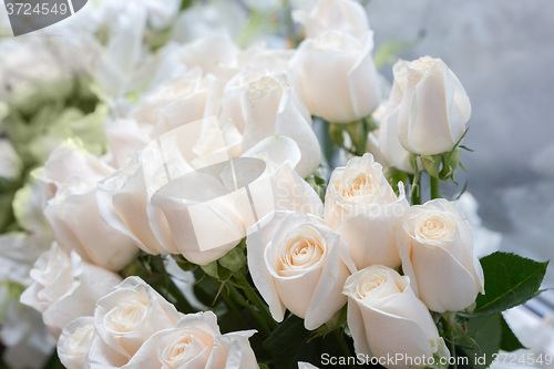 Image of white roses as a floral background