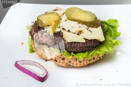 Image of spoiled tasteless burger with roasted not Cutlets,