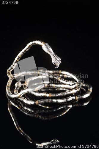 Image of golden bracelet form of snake isolated black background