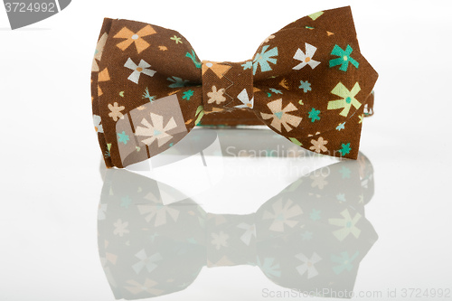 Image of Brown bow tie on a white background. floret