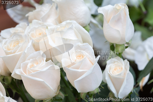 Image of white roses as a floral background