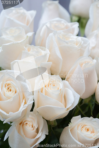 Image of white roses as a floral background