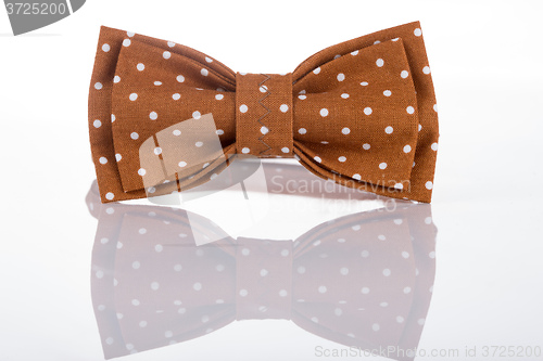 Image of Brown bow tie on a white background 