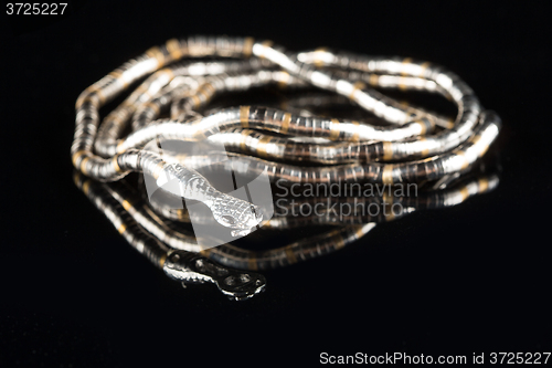 Image of golden bracelet form of snake isolated black background