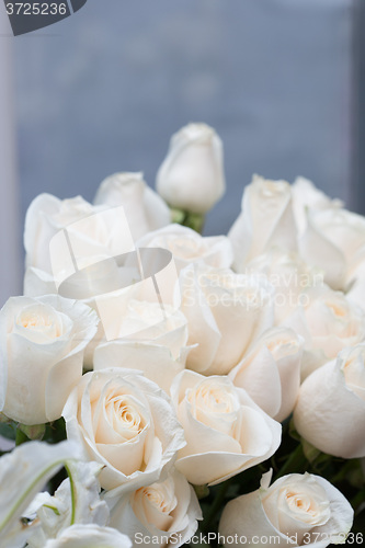 Image of white roses as a floral background