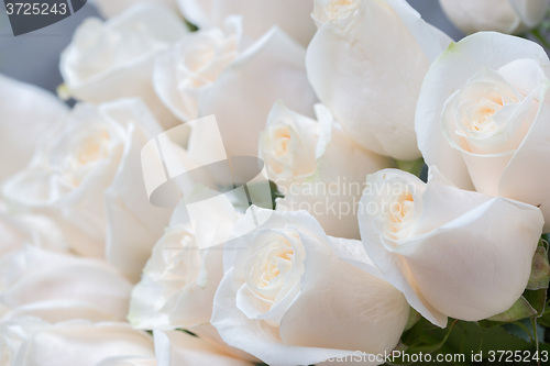 Image of white roses as a floral background