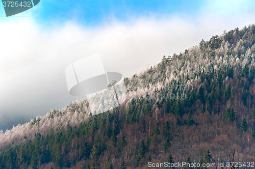 Image of Winter mountains slope