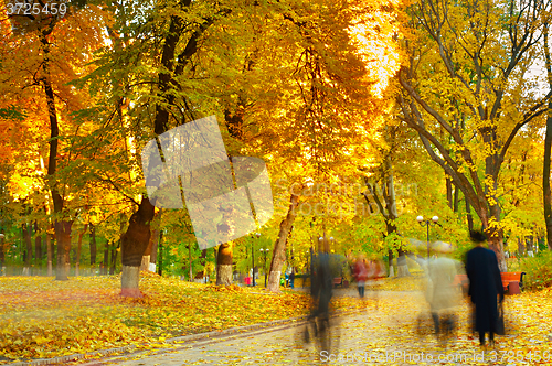 Image of Strolling in a park