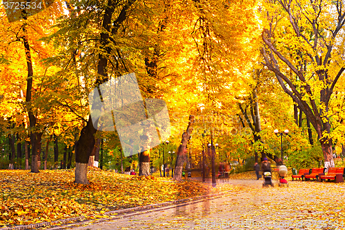 Image of Park in the fall