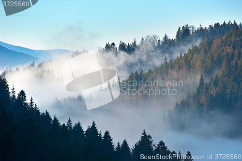 Image of Beautiful Carpathian Mountains