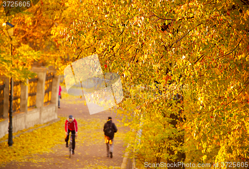 Image of Sport activity in autumn park