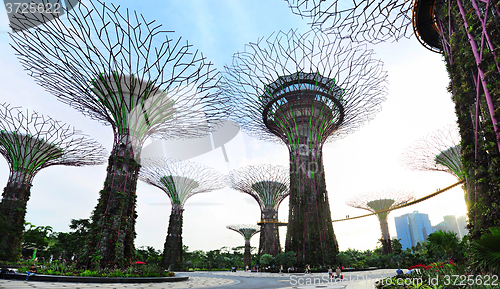 Image of Gardens by the Bay, Singapore