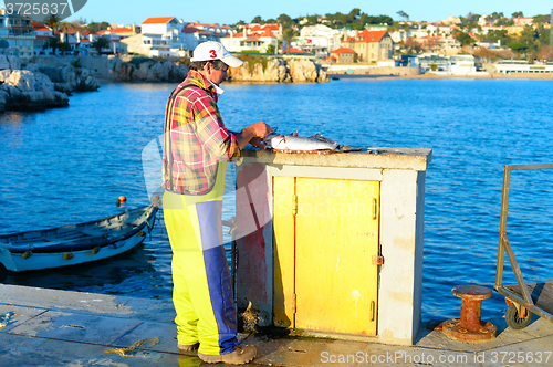 Image of Fisherman cleaning fish