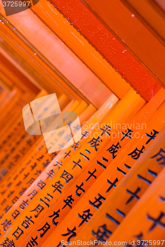 Image of Fushimi Inari Taisha Shrine in Kyoto, Japan.