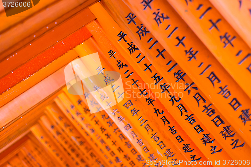 Image of Fushimi Inari Taisha Shrine in Kyoto, Japan.