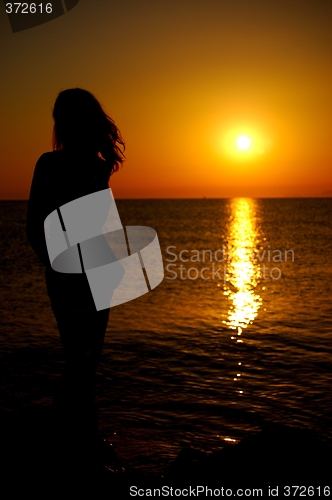 Image of Sunshein