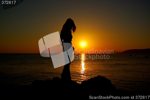 Image of Sunshein