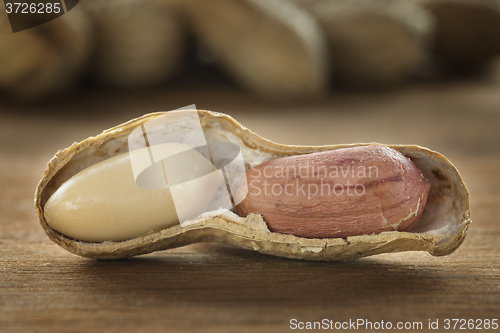 Image of Peanut on a table